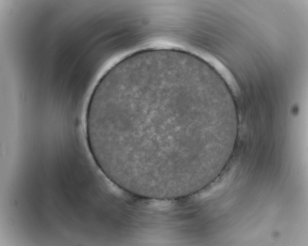 X0000102401191200808151936