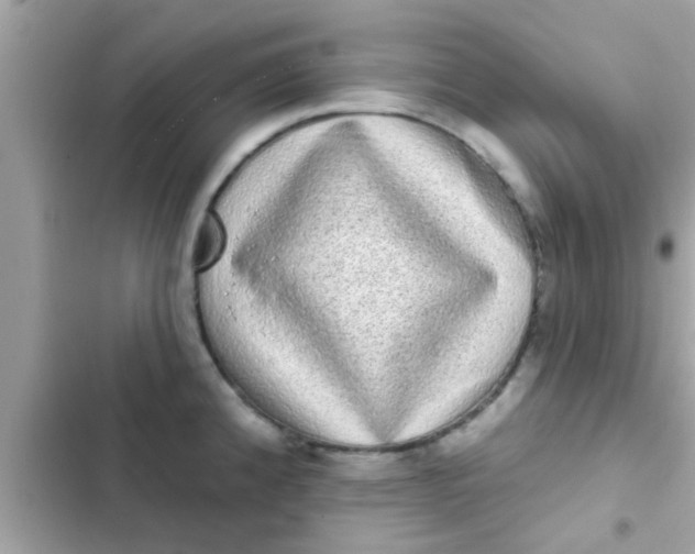 X0000102401192200808151936