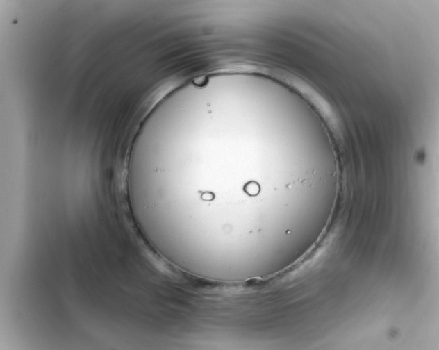 X0000102401193200808151936