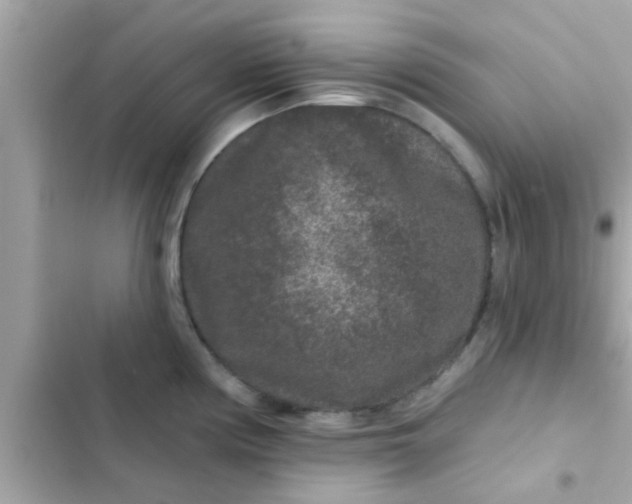 X0000102401194200808151936