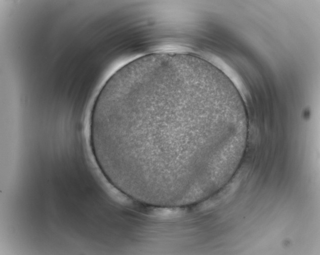 X0000102401195200808151936