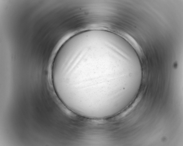 X0000102401196200808151936