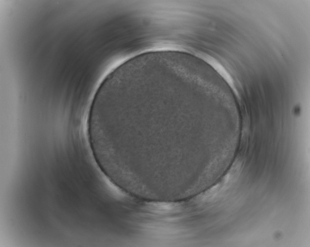 X0000102401197200808151936