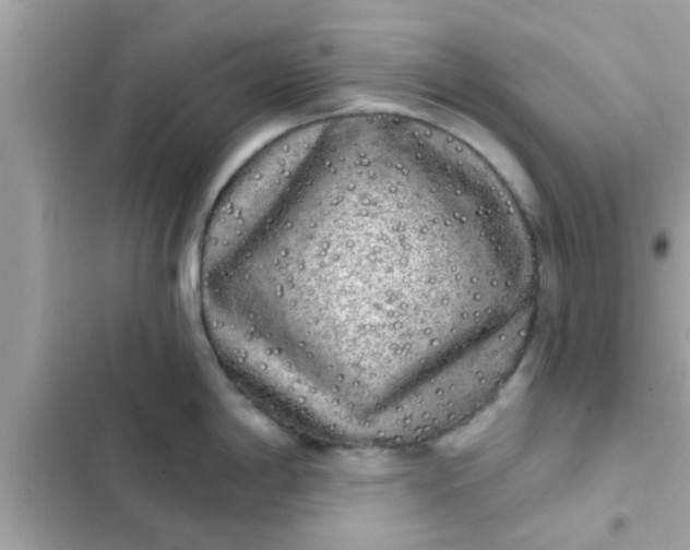 X0000102401198200808151936