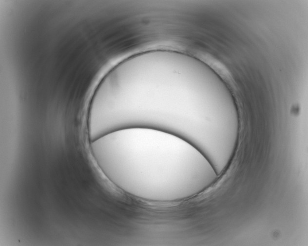 X0000102401200200808151936