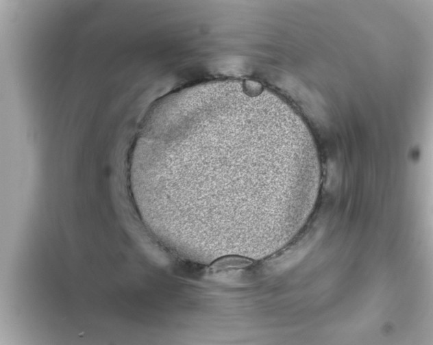 X0000102401201200808151935