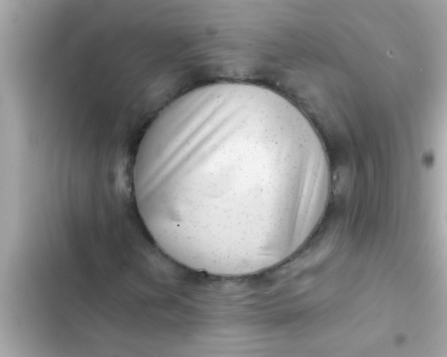 X0000102401202200808151935