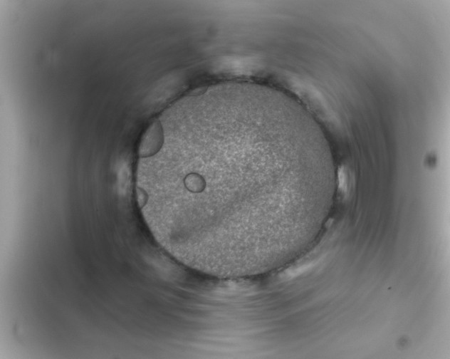 X0000102401203200808151935