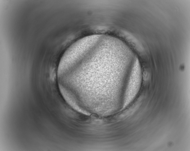 X0000102401204200808151935