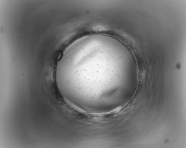 X0000102401205200808151935