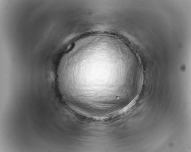 X0000102401206200808151935