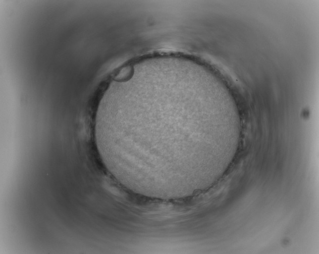 X0000102401207200808151935