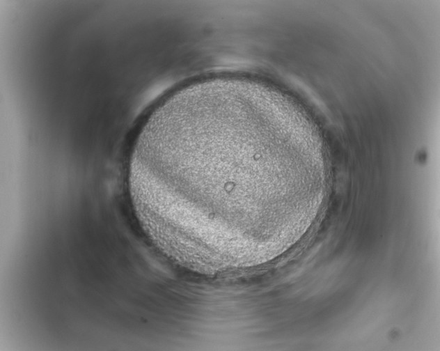 X0000102401208200808151935