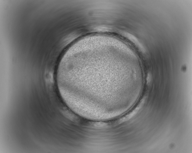 X0000102401209200808151935