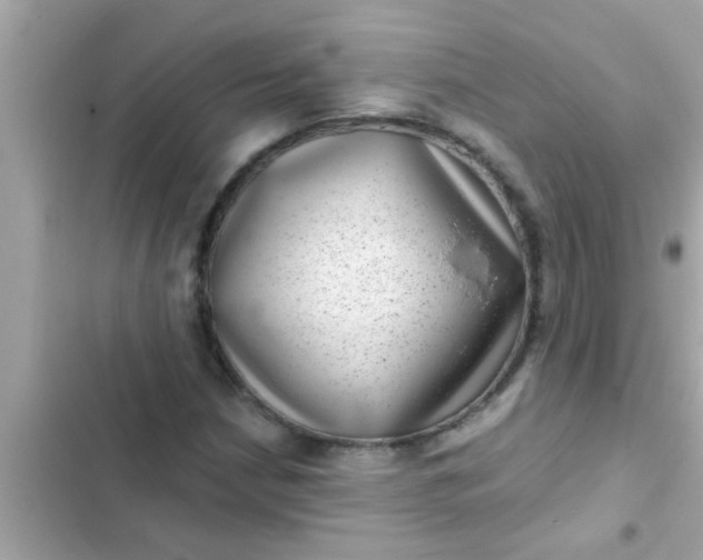 X0000102401210200808151935