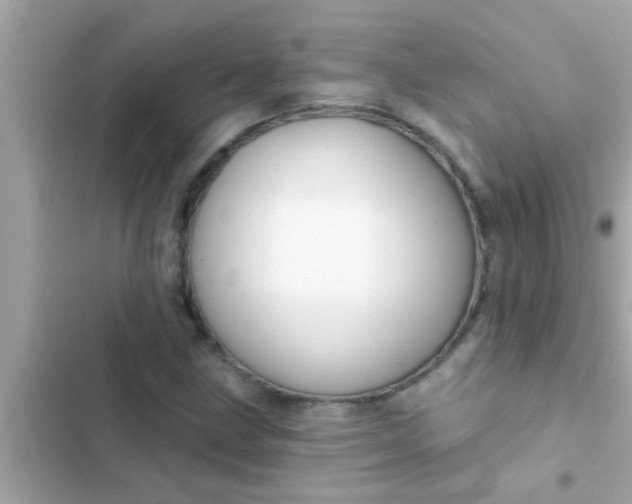 X0000102401211200808151935