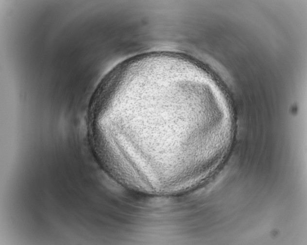 X0000102401212200808151935