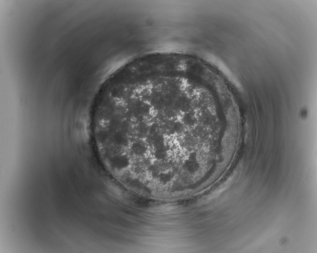 X0000102401213200808151935