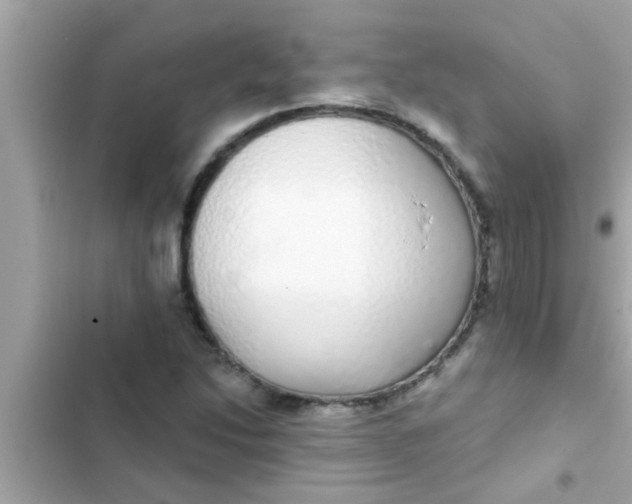 X0000102401214200808151935