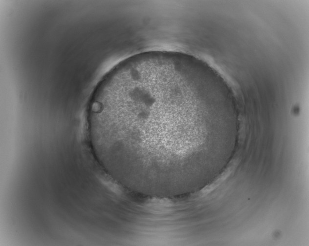 X0000102401215200808151935