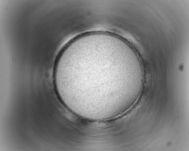 X0000102401216200808151935