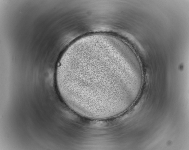 X0000102401217200808151936