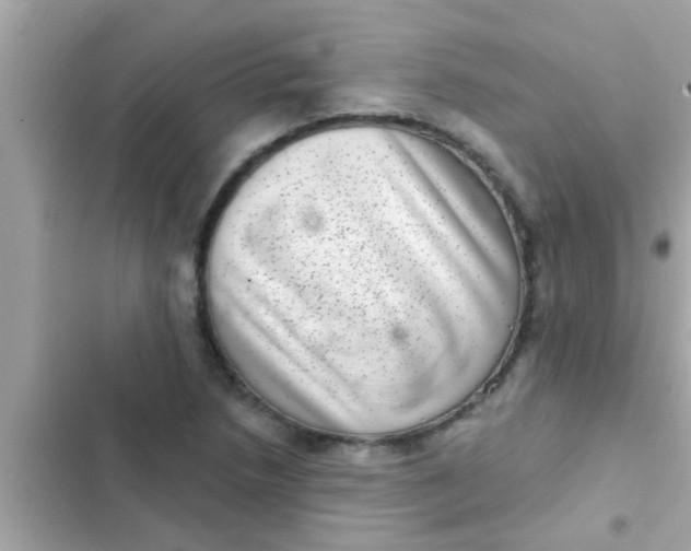 X0000102401218200808151936