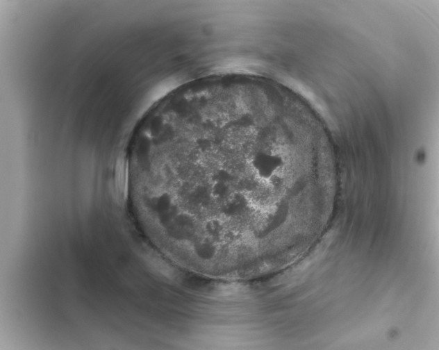 X0000102401219200808151936