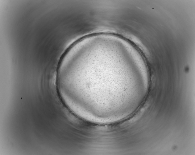 X0000102401220200808151936