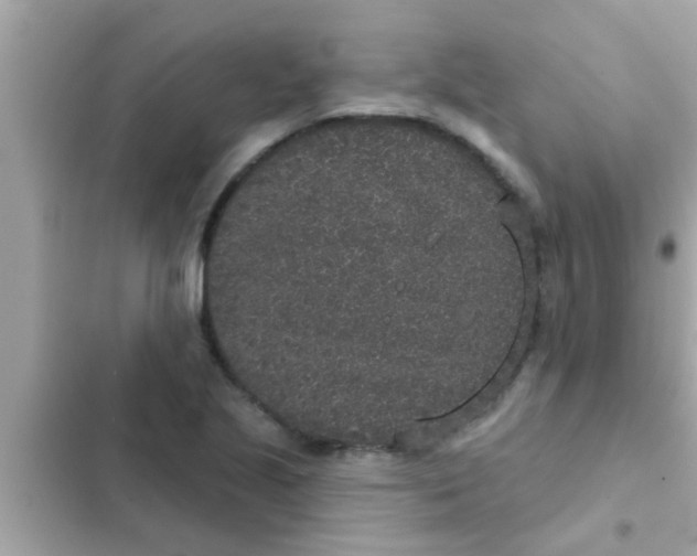 X0000102401221200808151936