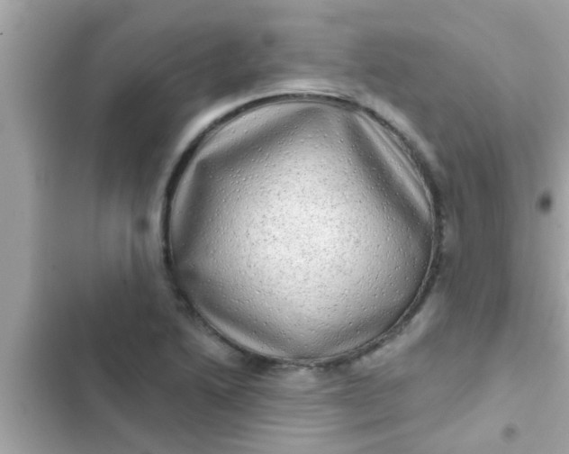 X0000102401222200808151936