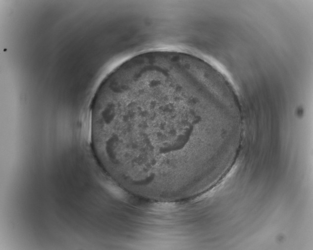 X0000102401223200808151936