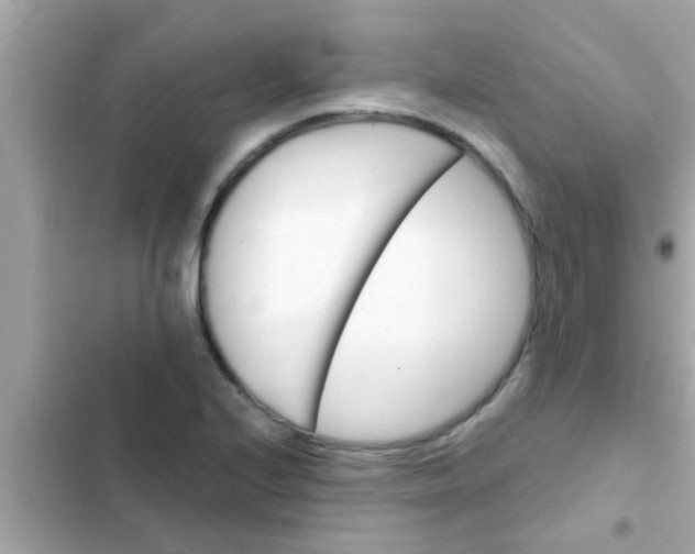 X0000102401224200808151936