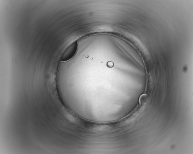 X0000102401225200808151936