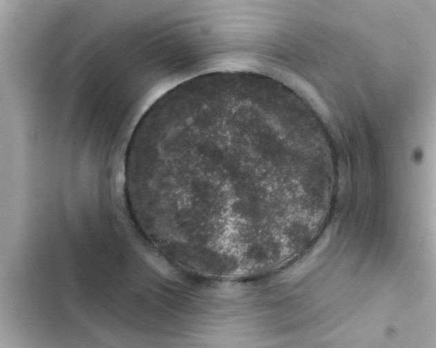 X0000102401226200808151936