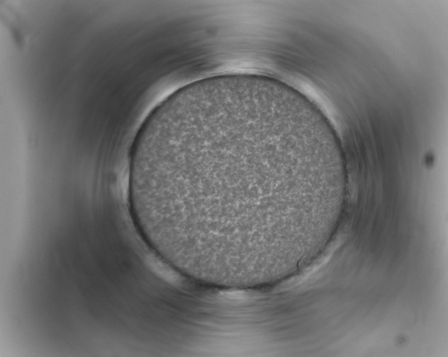 X0000102401227200808151936