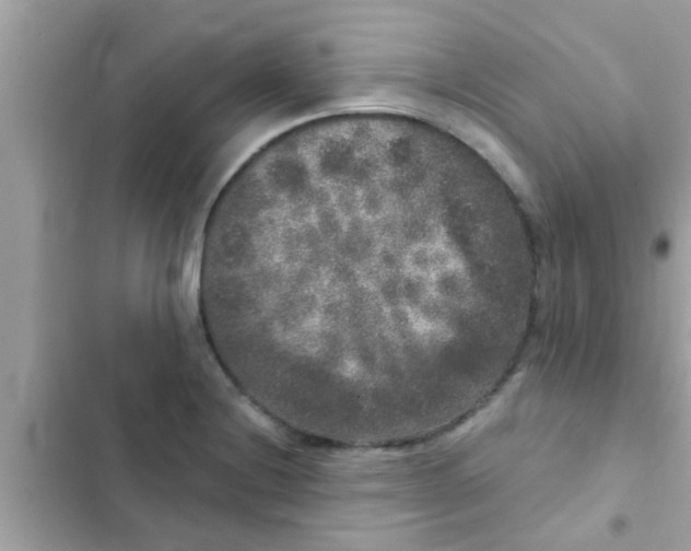 X0000102401228200808151936