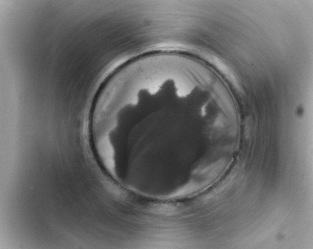 X0000102401229200808151936