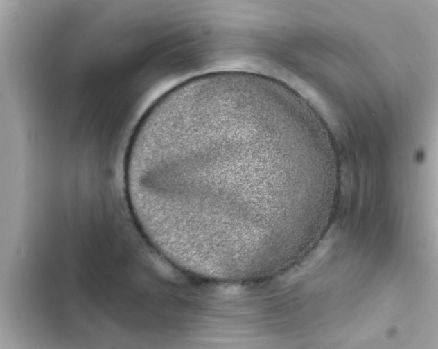 X0000102401230200808151936