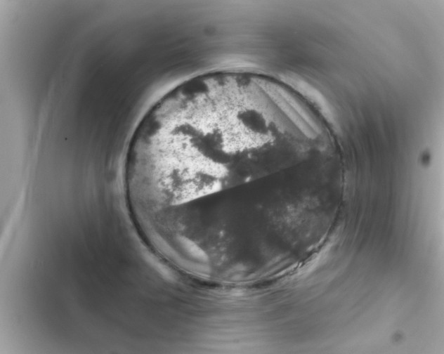 X0000102401231200808151936