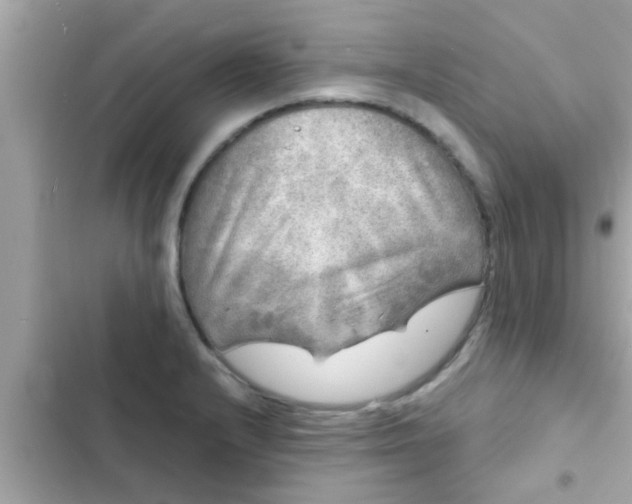 X0000102401232200808151936