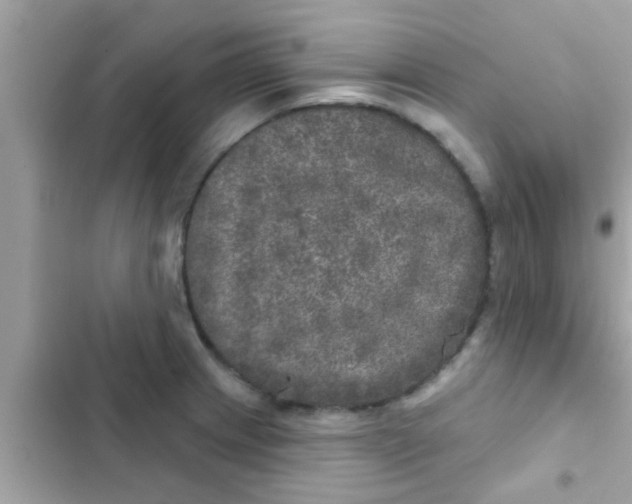 X0000102401233200808151936