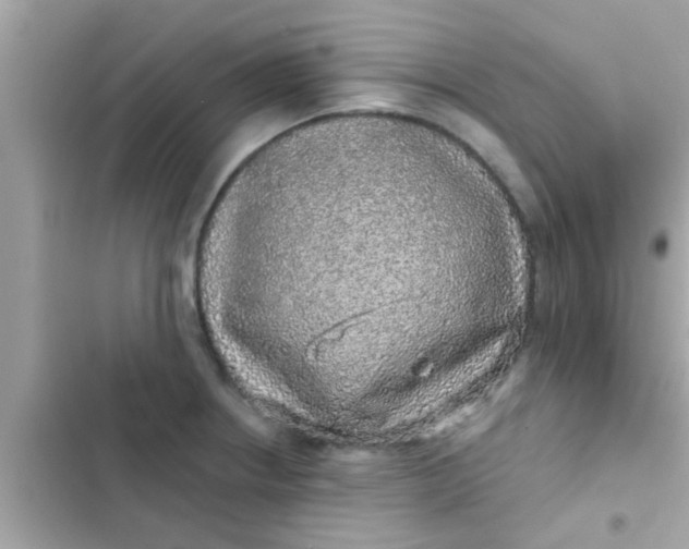 X0000102401234200808151936