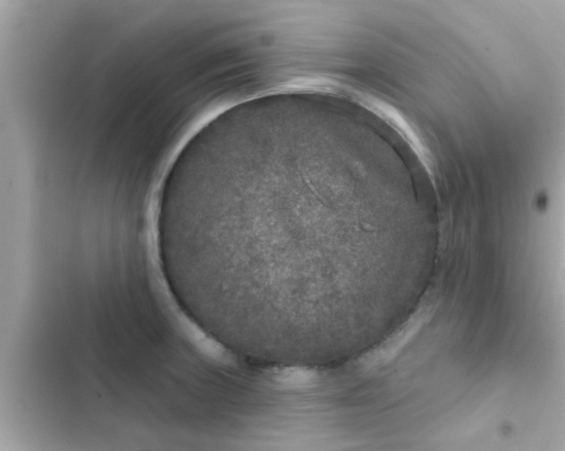 X0000102401235200808151936