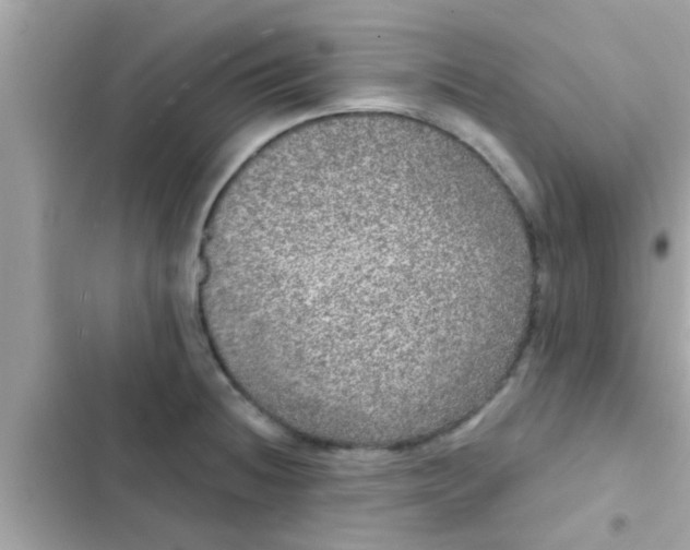 X0000102401236200808151936