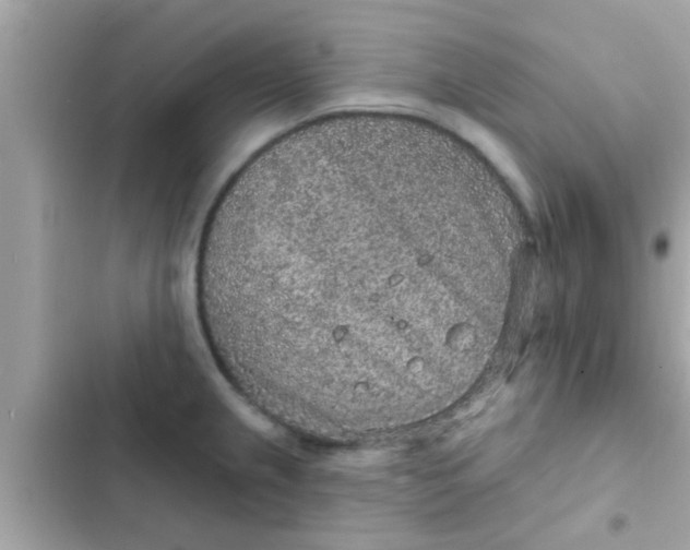 X0000102401237200808151936