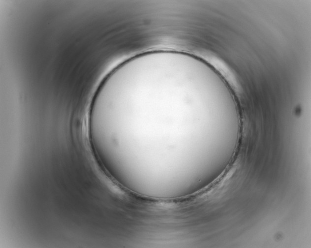 X0000102401238200808151936