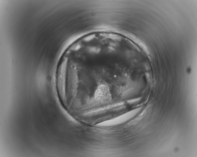 X0000102401239200808151936