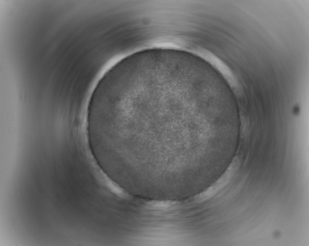 X0000102401240200808151936