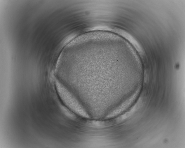 X0000102401241200808151936